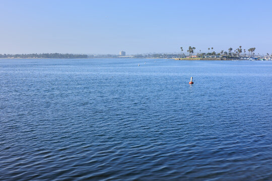 Deep blue water of Mission Bay with a distant shoreline, tropical palm trees, coastal buildings, and a clear sky, San Diego, California