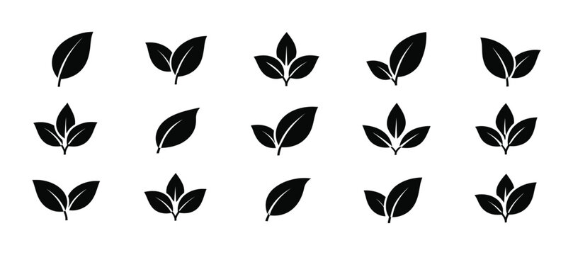 A collection of minimalist black leaf icons perfect for nature inspired designs botanical illustrations and