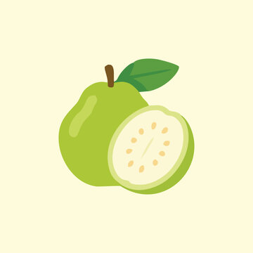 Minimalist fresh green guava fruit vector illustration
