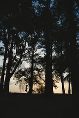 Dark tree silhouettes at dusk with little girl silhouette among trunks © Jose Ferreyra