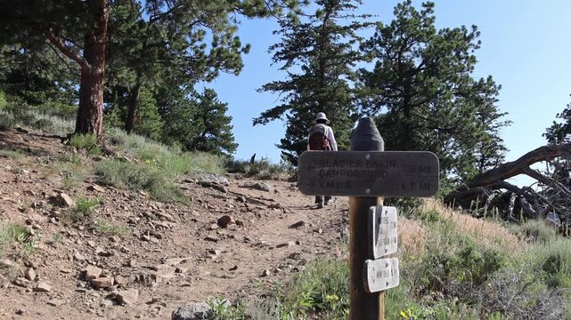Hiker on trail with directional signs.