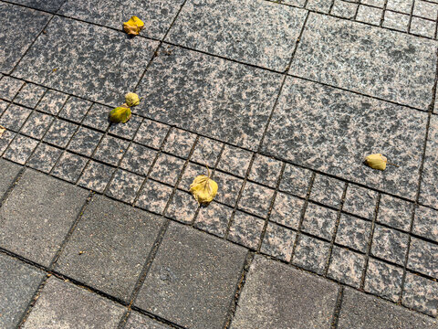gray stone pavement with fallen autumn leaves. closeup view.