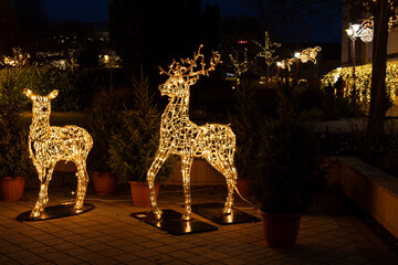 christmas reindeer lights outdoor decoration © Sarolta Nagy