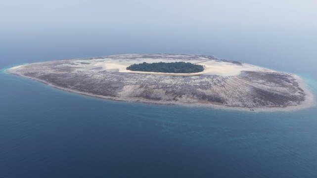The remote Sangalaki Island is surrounded by a thriving coral reef in the scenic Derawan Archipelago of East Kalimantan, Indonesia. This area harbors extraordinary marine biodiversity.