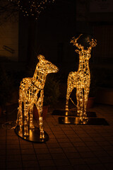 christmas reindeer lights outdoor decoration vertical composition © Sarolta Nagy