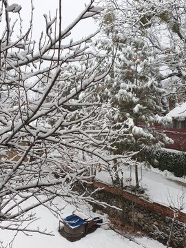 Snow Covered Kashmir in Winter, White Paradise in Kupwara, Jammu and Kashmir, India