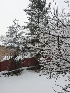 Snow Covered Kashmir in Winter, White Paradise in Kupwara, Jammu and Kashmir, India