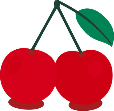 two cherries on a branch