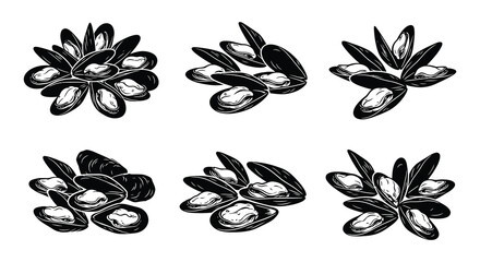 Black and white vector illustration of mussels in various arrangements © Md