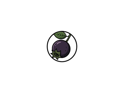 Saskatoon berry with green leaf inside circle frame hand drawn vector illustration isolated on white background