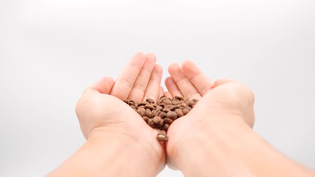 A pair of hands holding a handful of roasted coffee beans against a clean white background, showcasing the rich texture and natural brown color of high-quality Arabica or Robusta beans.