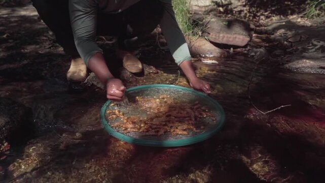 Slow-motion shot of a person kneeling and washing turmeric roots in a sieve placed in river water in Brazil.