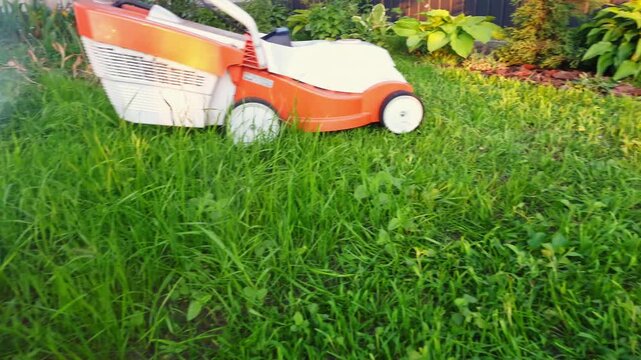 A person pushes a lawnmower through a vibrant green backyard, trimming the grass and maintaining the garden area