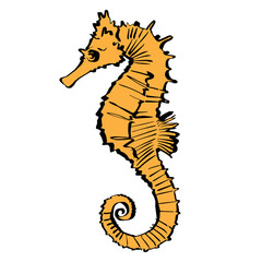 Hand drawn vector graphic of a bright yellow seahorse, ideal for ocean themes, summer designs, marine life, and kids graphic art. © Vongsavanh