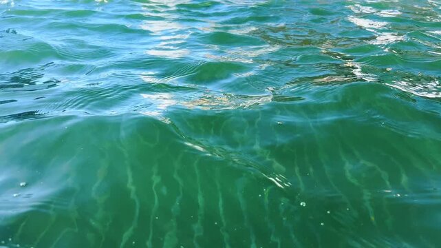Blue green water surface undulates with gentle sunlit ripples and small waves