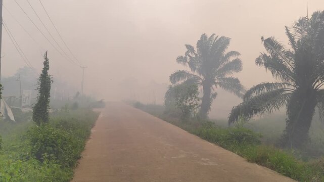 A scene from ground level showing a concrete road in a rural area surrounded by thick fog and smoke pollution from forest fires, with oil palm trees barely visible behind the dense haze in Indonesia.