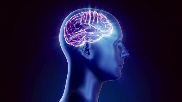 Digital human head silhouette with a glowing red wireframe brain representing artificial intelligence