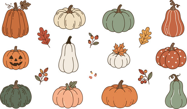Autumn pumpkin vector clip art set with various colorful gourds jack o lantern squash fall leaves and berries for Thanksgiving Halloween designs