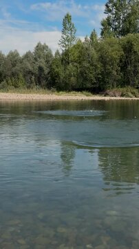 Stone Skipping Across a Calm River and Creating Splashes