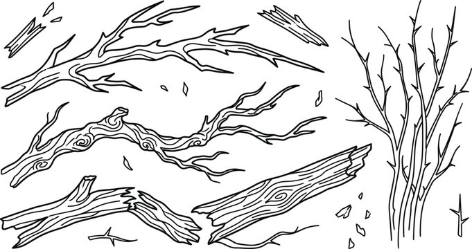 Bare Tree Branch and Broken Wood Log Outline Set Featuring Gnarled Twigs, Bark Textures, Driftwood, and Forest Splinters Line Art Vector Graphics