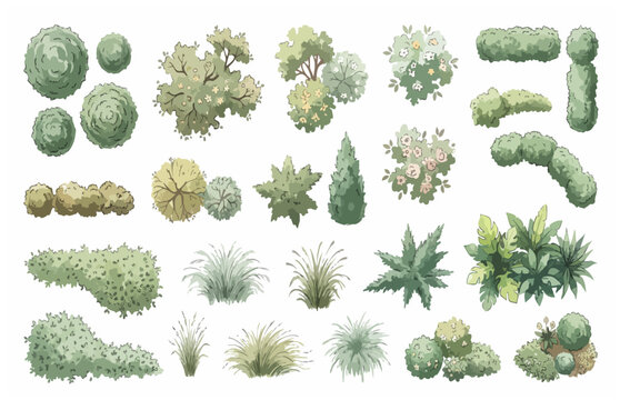 Architectural Shrub CAD Blocks Top View Watercolor Hedge and Plant Collection