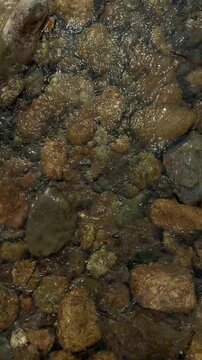 Clear Water Rippling Over River Stones in Slow Motion