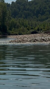 Gentle River Ripples Beside a Wooded Gravel Bank in Sunlight