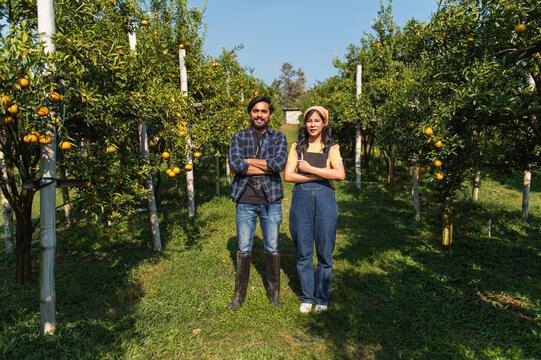 Two people stand in a citrus grove under clear skies