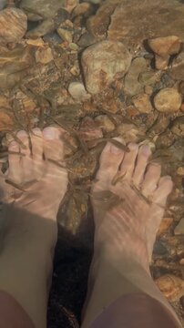 Small Fish Nibbling Bare Feet in a Clear Shallow River
