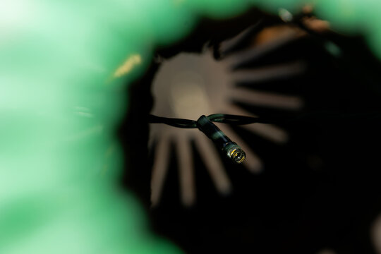 Verdes