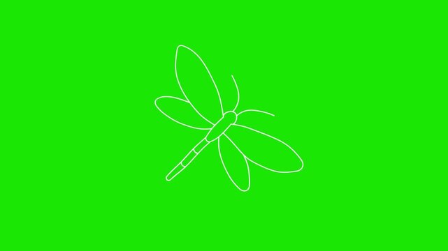Dragonfly icon animation, cartoon doodle style, flying dragonfly, green background, 4K video.