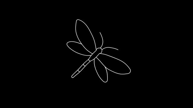 Dragonfly icon, outline sketch of a dragonfly in flight, slow-motion graphic, doodle style, dark background, 4K video.