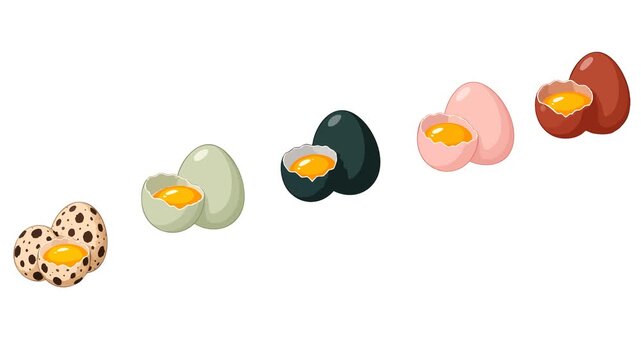 Cheerful animated motion graphic showcasing an assortment of colorful poultry Easter eggs with speckled, painted, and patterned surfaces. Ideal for Easter greetings, spring videos, holiday advertising