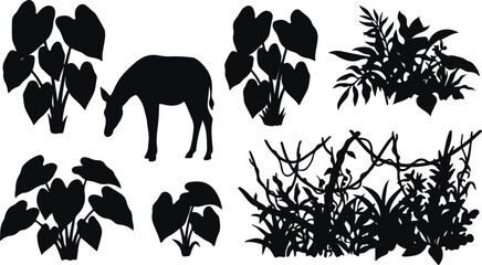 Obraz premium Tropical plants, elephant ears leaves and okapi animal silhouette set