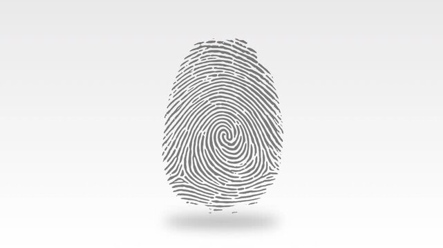 Animated slate fingerprint reveals from the center in a spiral, symbolizing biometric identity, data security, AI, authentication, digital forensics, and cybersecurity. 4k Chroma Key Green
