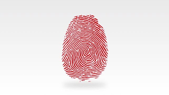 Animated red fingerprint reveals from the center in a spiral, symbolizing biometric identity, data security, AI, authentication, digital forensics, and cybersecurity. 4k Chroma Key Green