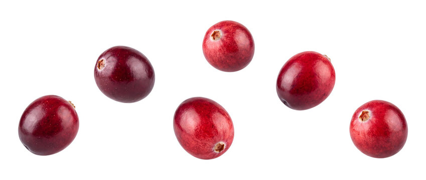 Falling red cranberries isolated on transparent background