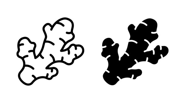 Ginger icon minimalist two tone