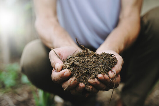 Close-up of a farmer carefully holding rich, organic soil in their hands. A beautiful symbol of sustainable agriculture, environmental conservation