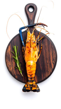 Grilled langoustine on wood chopping board with herb