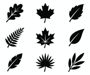 Fototapeta premium Collection of black leaf Silhouettes Vector Set