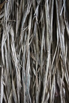 ​Detail of dry grass thatched roofing material background for tropical hut design