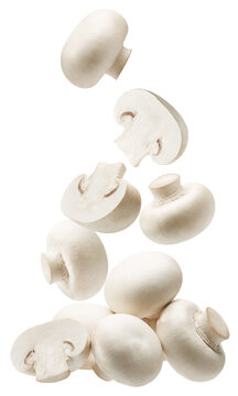 Group of white button mushrooms isolated