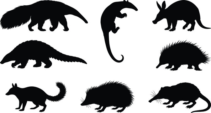 Set of flat color non realistic black silhouettes featuring exotic anteaters and pangolins for commercial design use
