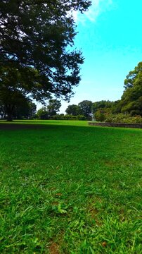 Static View of Green Lawn and Trees at Nogeyama Park in Yokohama under Clear Blue Sky