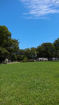 Static View of Green Lawn and Trees at Nogeyama Park in Yokohama under Clear Blue Sky