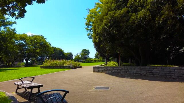 Static View of Green Lawn and Trees at Nogeyama Park in Yokohama under Clear Blue Sky