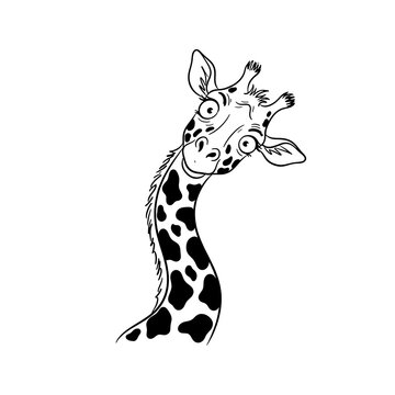 Funny cartoon giraffe head isolated on white background hand drawn illustration
