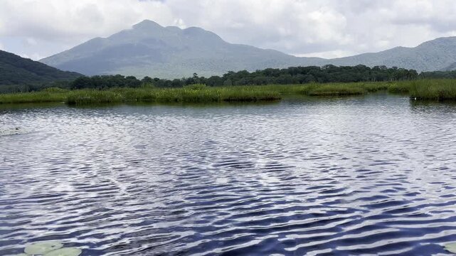 Wind Ripples on a Marsh Pond with Mt Hiuchigatake Ozegahara Japan 4K