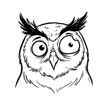 Funny cartoon owl head illustration with big eyes and expression